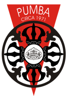 Department of Management Sciences, Pune University MBA Logo